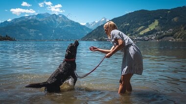 Swimming time in the lake with a dog in Austria | © Zell am See-Kaprun Tourismus