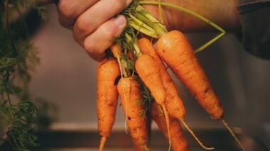 Fresh carrots from Flos Restaurant's own garden | © Zell am See-Kaprun Tourismus