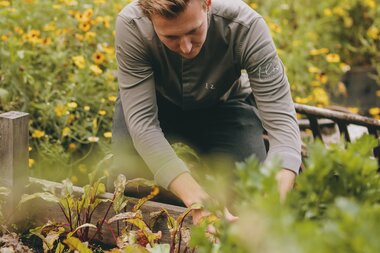 Florian harvesting in our own vegetable garden | © Zell am See-Kaprun Tourismus